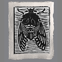 'Cicada'  •  Galiano Relief 2019 group print  Theme 'What Bugs Me'